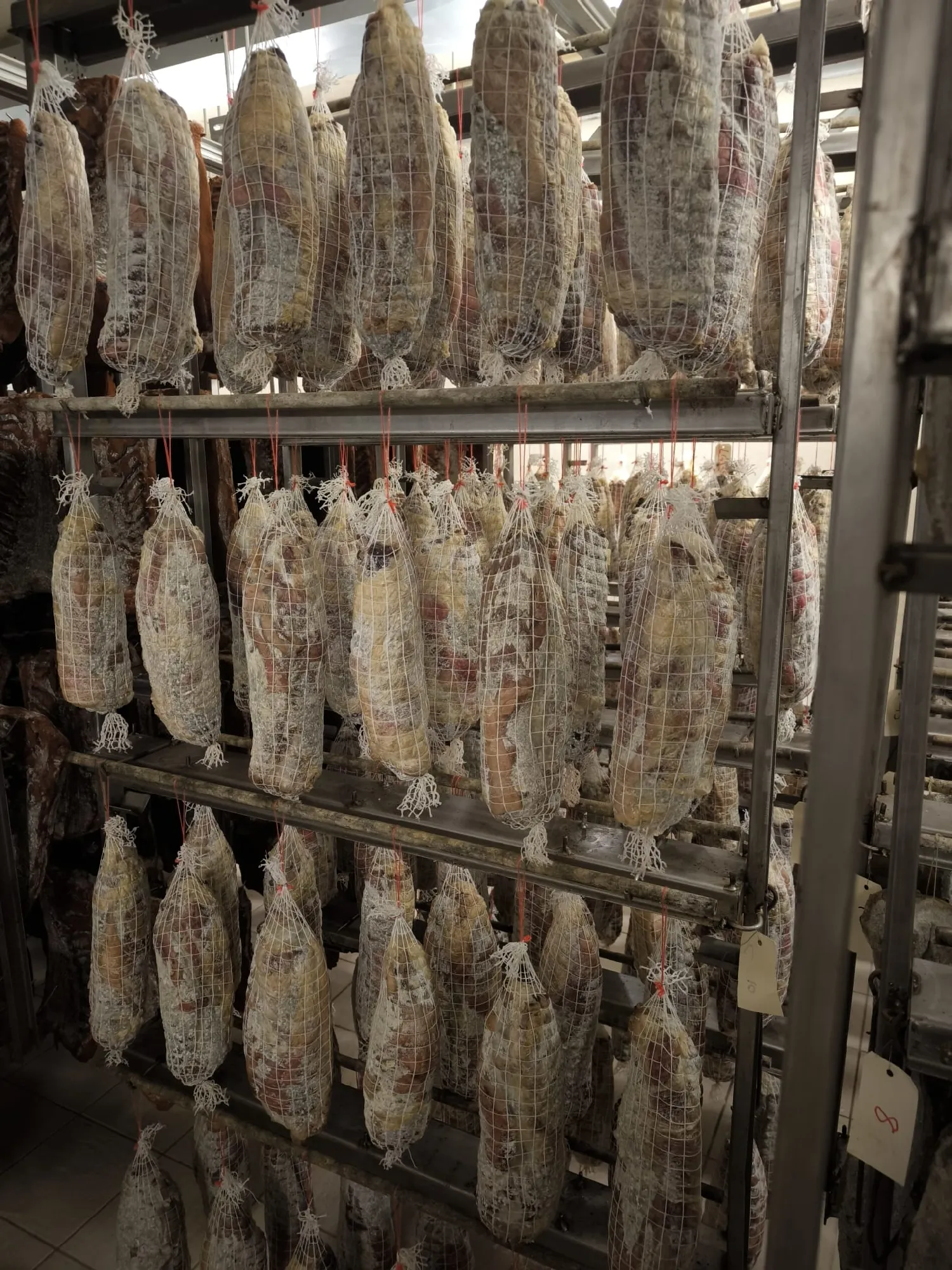 Coppa